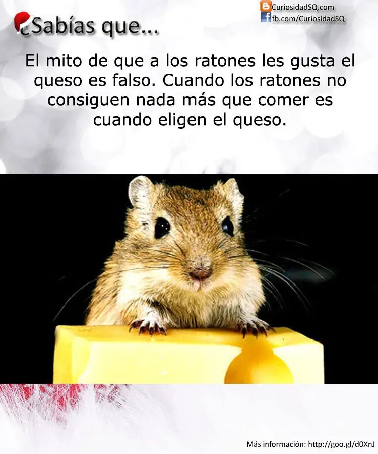 Que