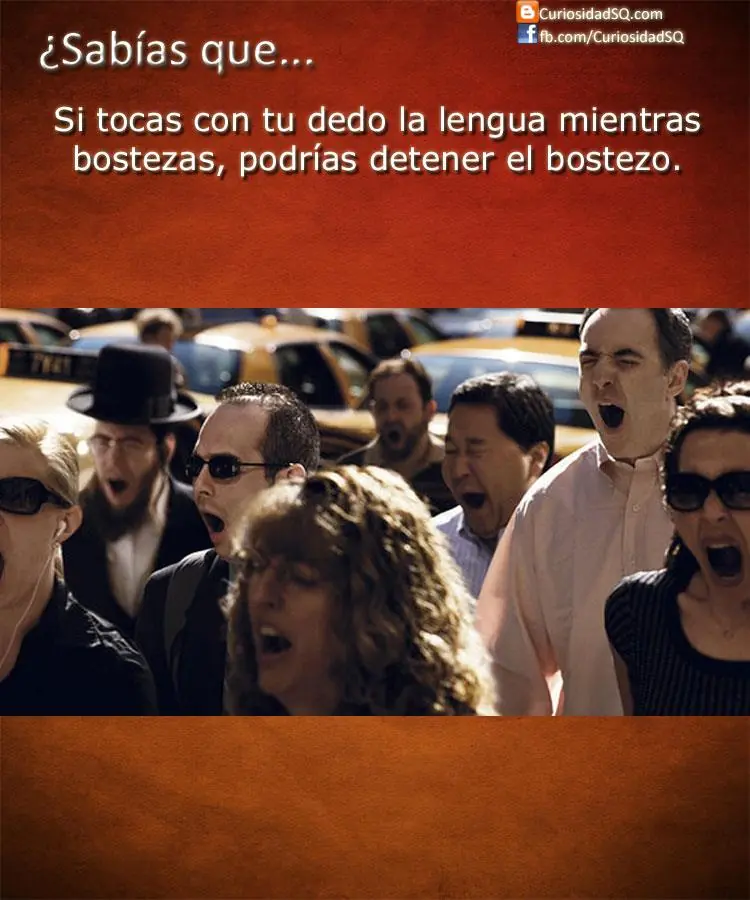 curiosidades