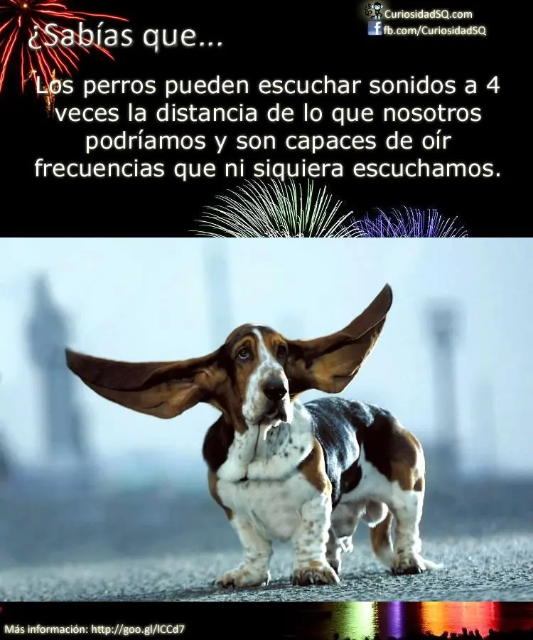 ¿Sabías qué...? [Parte 2.]