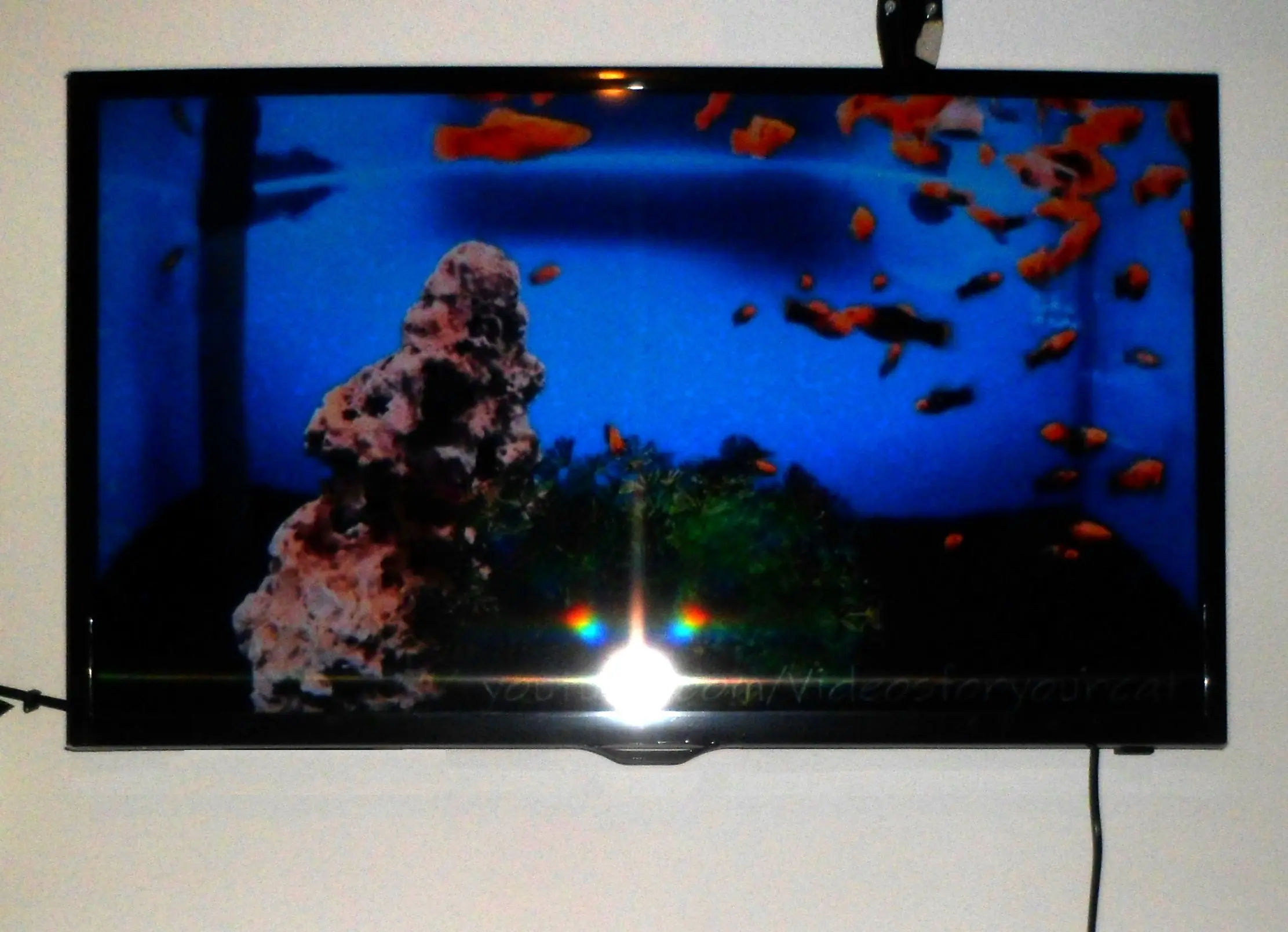 soporte para tv