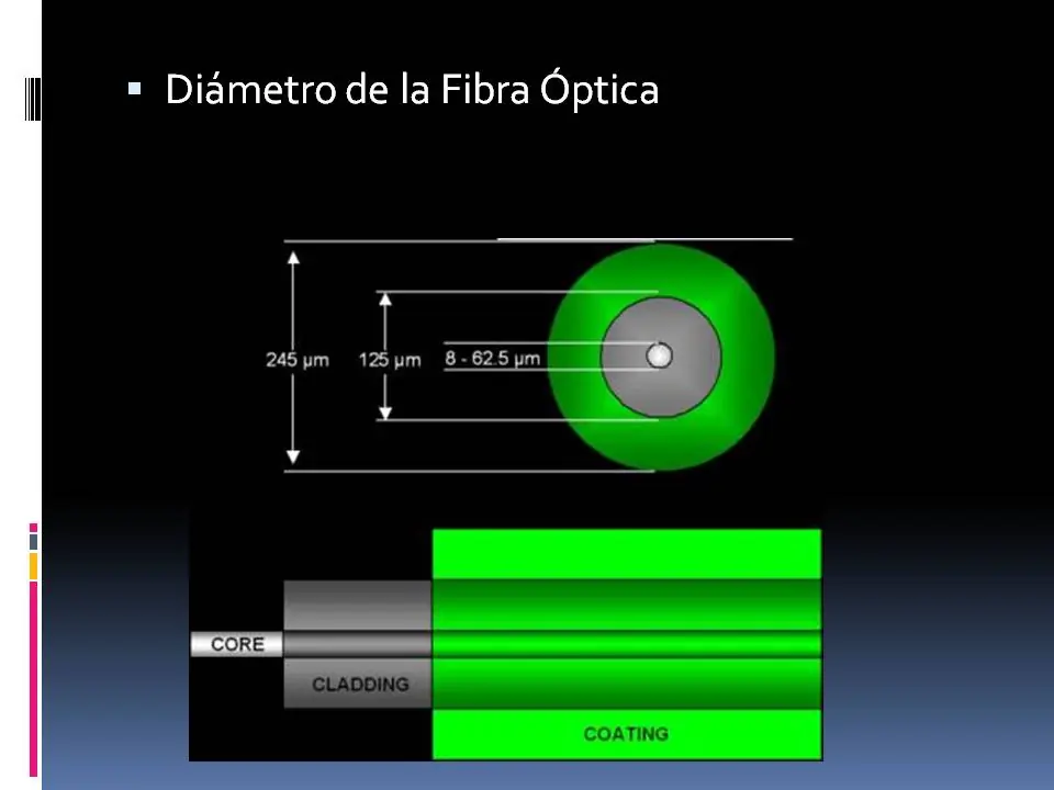 Fibra optica