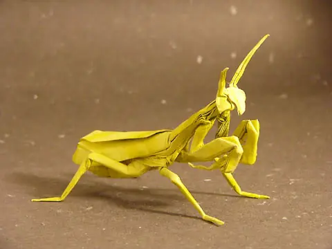 Arte con Papel