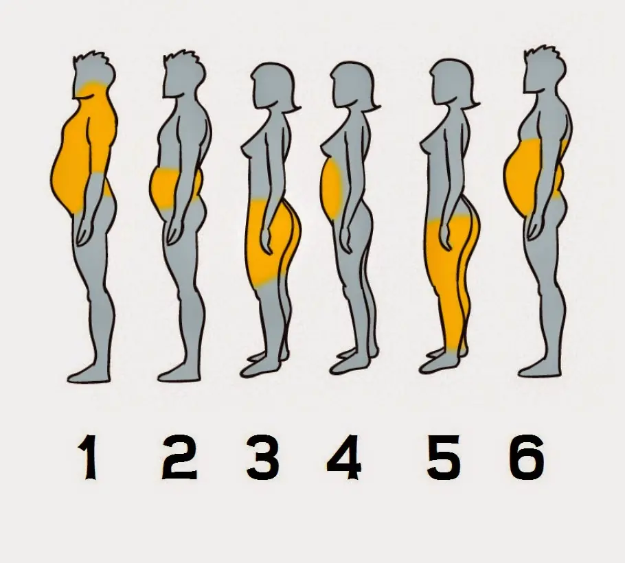 Como Eliminar la Grasa Localizada De Tu Cuerpo