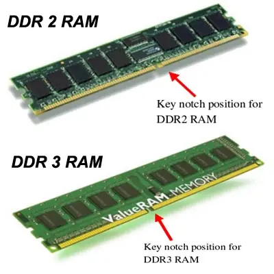Todo lo que tiene dentro de la computadora (PC)