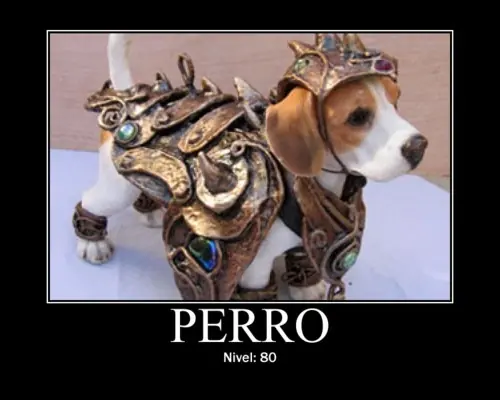 Humor Grafico + Yapa Filosoforaptor .