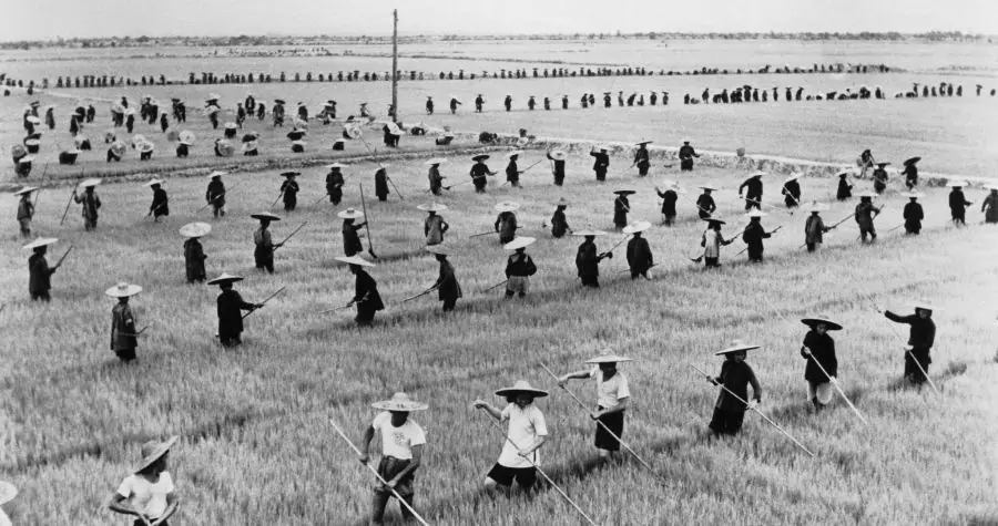 La campaña de las Cuatro Pestes