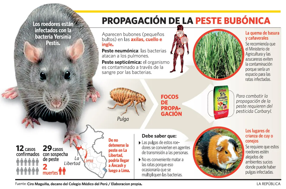 microbiologia microbiologia