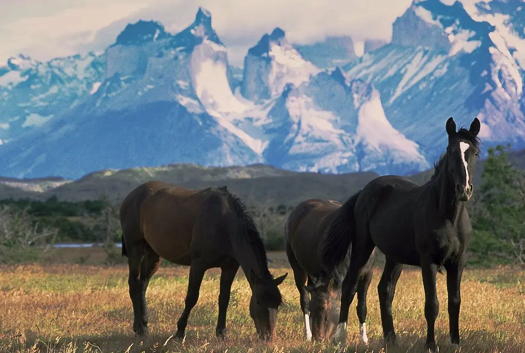 paisajes de chile