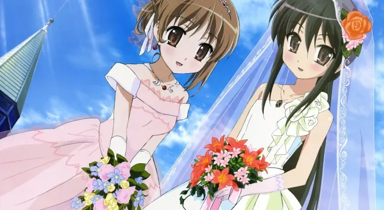 ¿Que son las waifus? y su origen