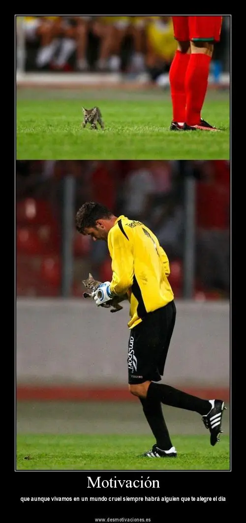 Imagenes para reirse [Megapost]