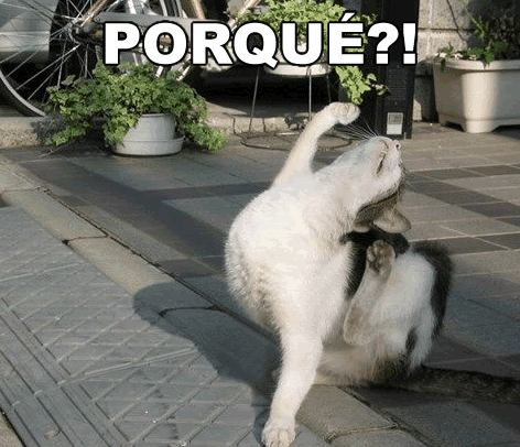Te explico por qué no convalido el viaje al pasado!