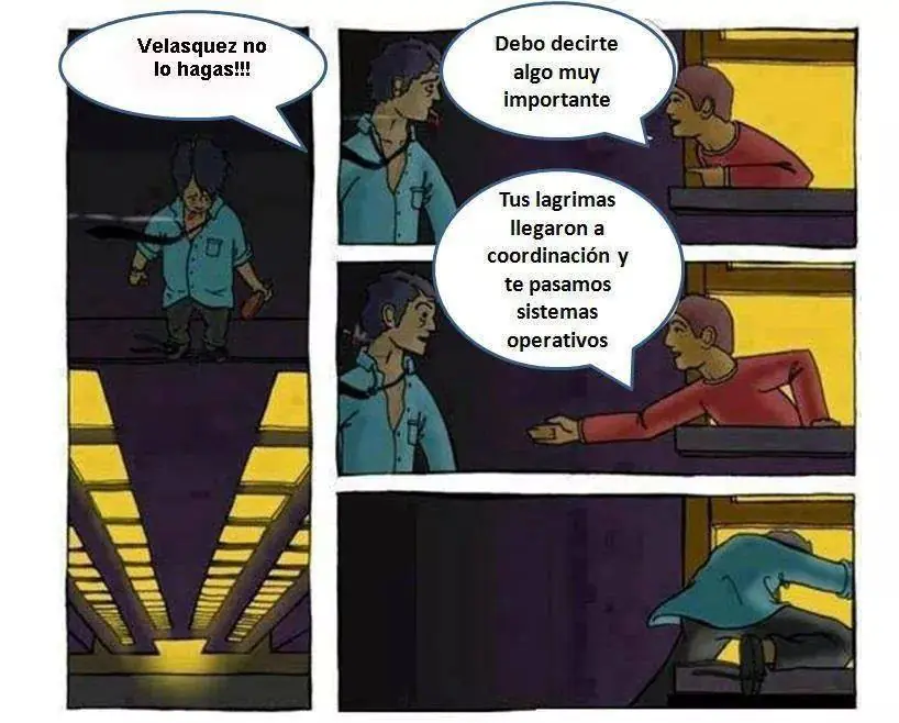 Windows