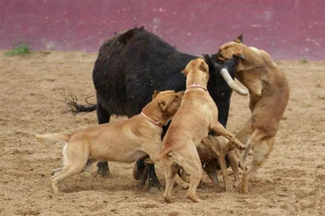 Así es la vida de una ateo