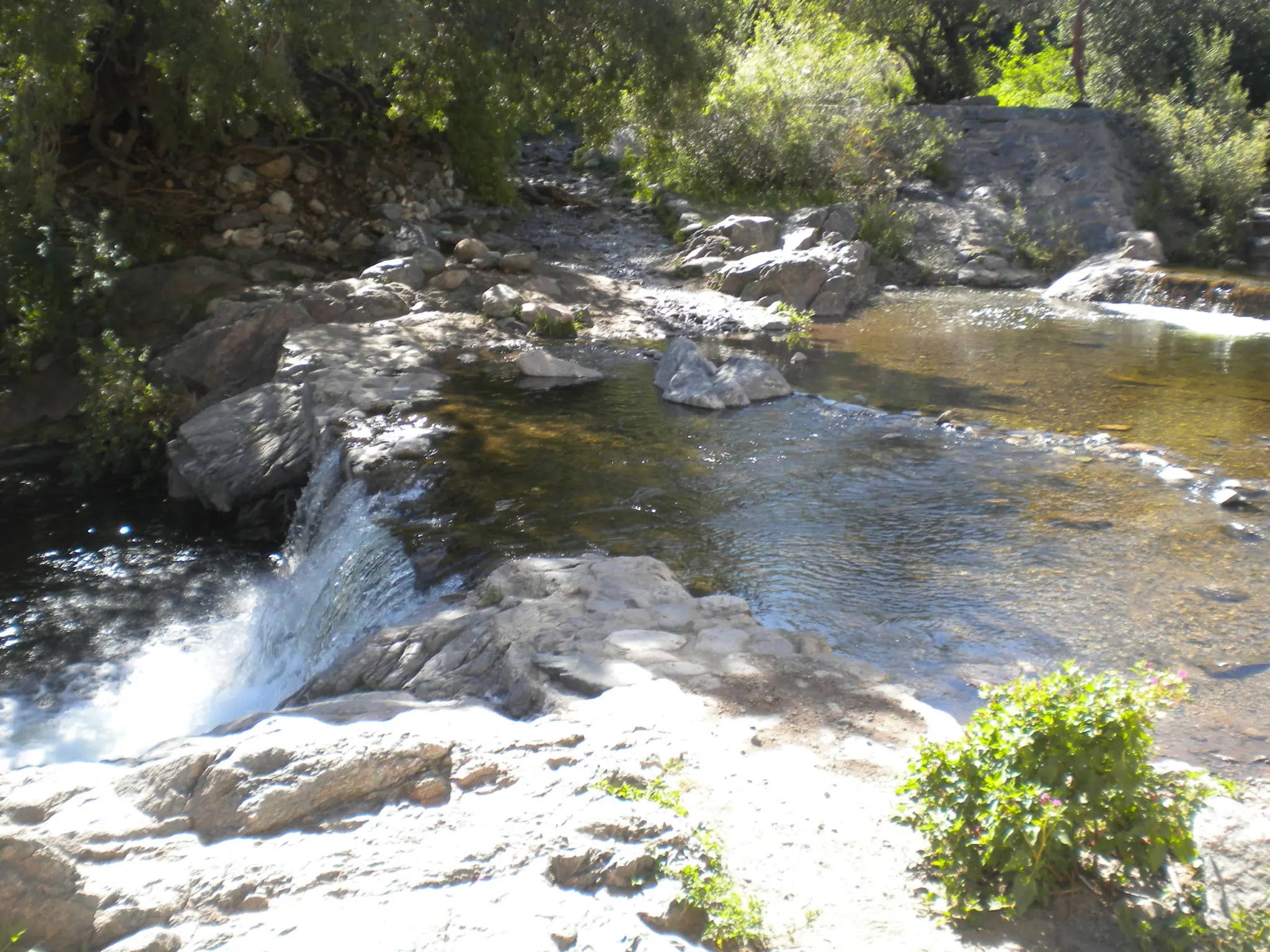 cordoba
