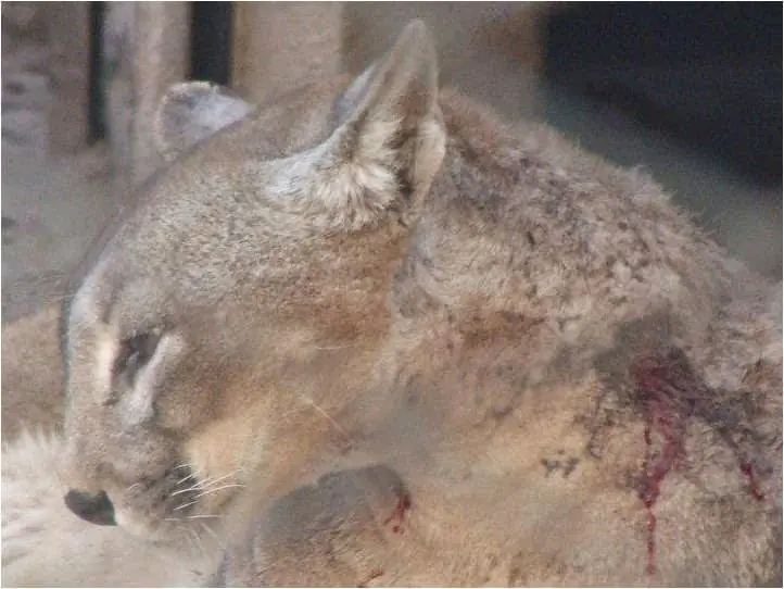 arturo arturo