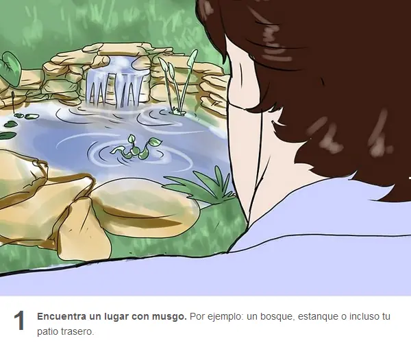 oso de agua