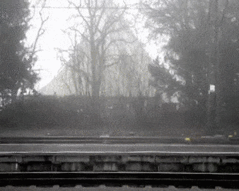 Compilado GIF