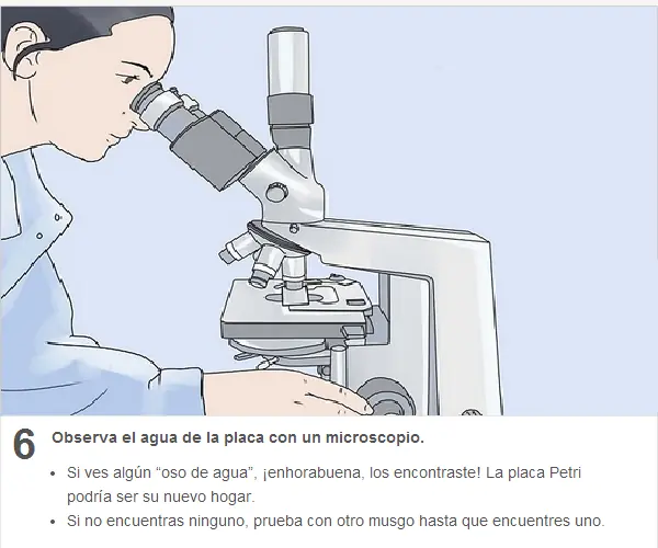 curiosidades