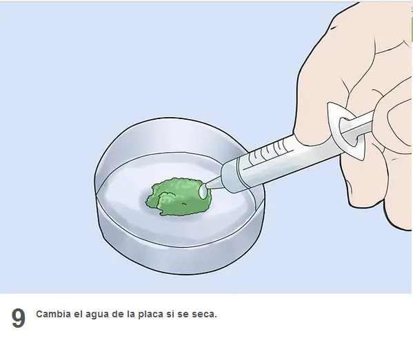 como criar un