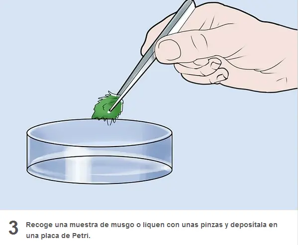 como criar un