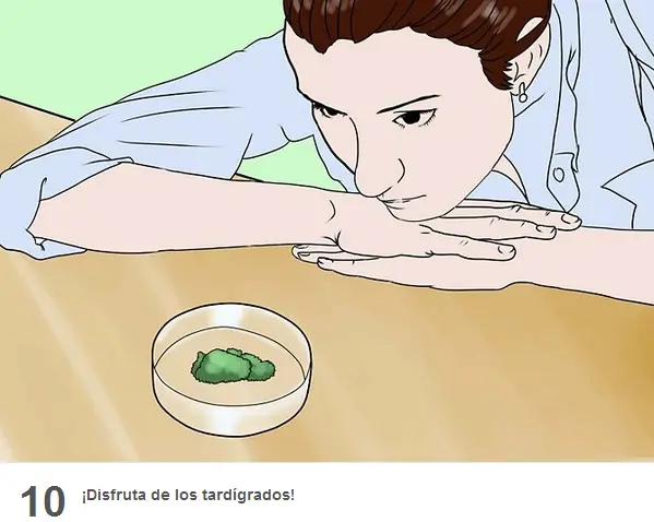 5 razones por la que tardigrada es resistente