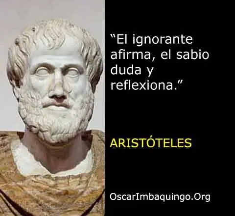 Les Traigo Filosofia Linces