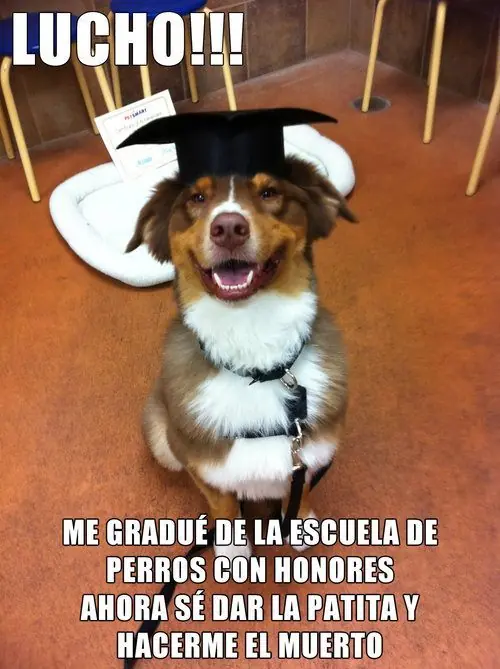 Entra y divierte, Megapost de Lucho
