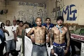 Locos