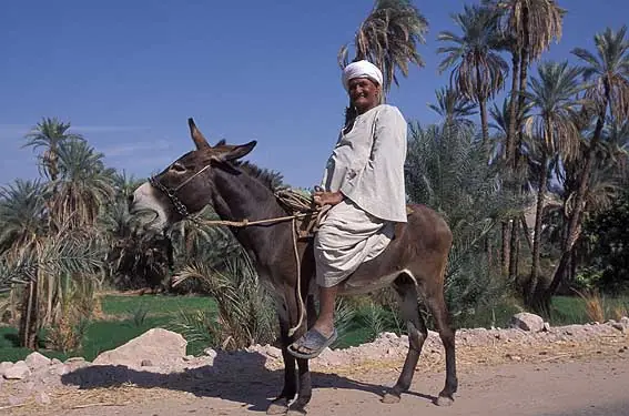 egipto