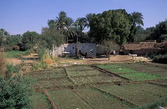 La presa de Aswan - Fabuloso lugar