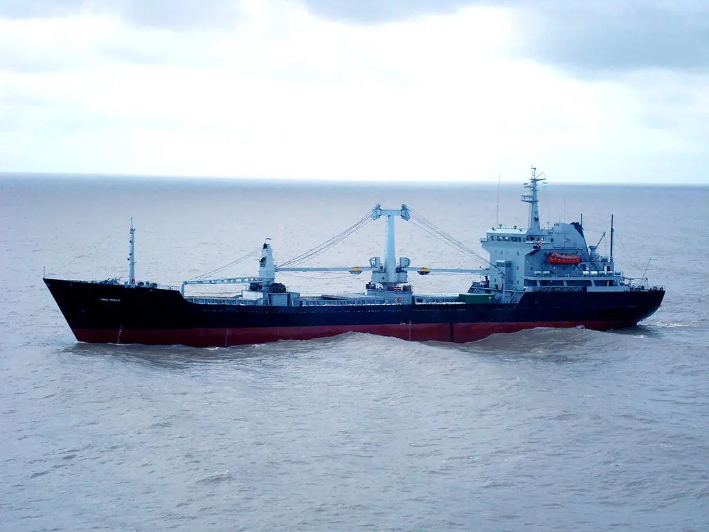 Armada chilena