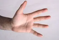 guitarra guitarra