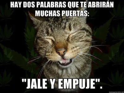 humor