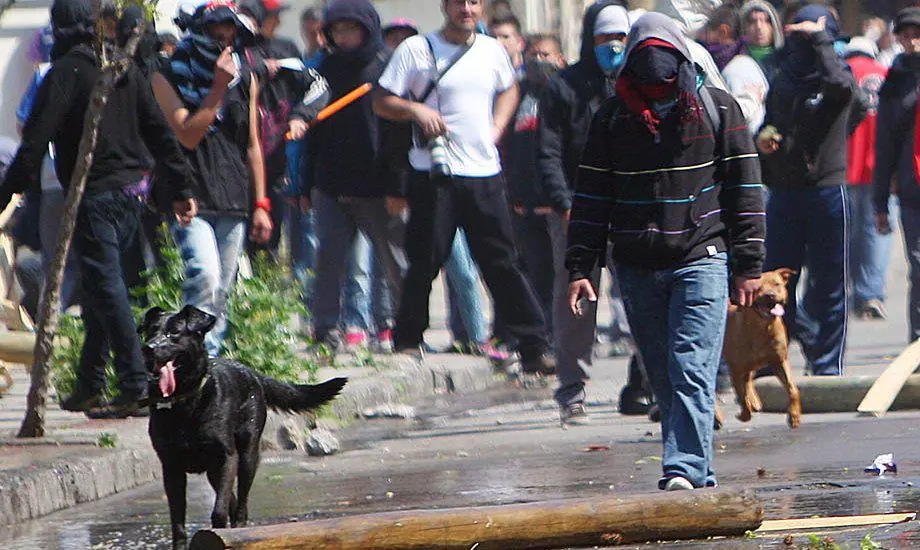 Homenaje al negro mata policias: El perro Anarquista amigo d