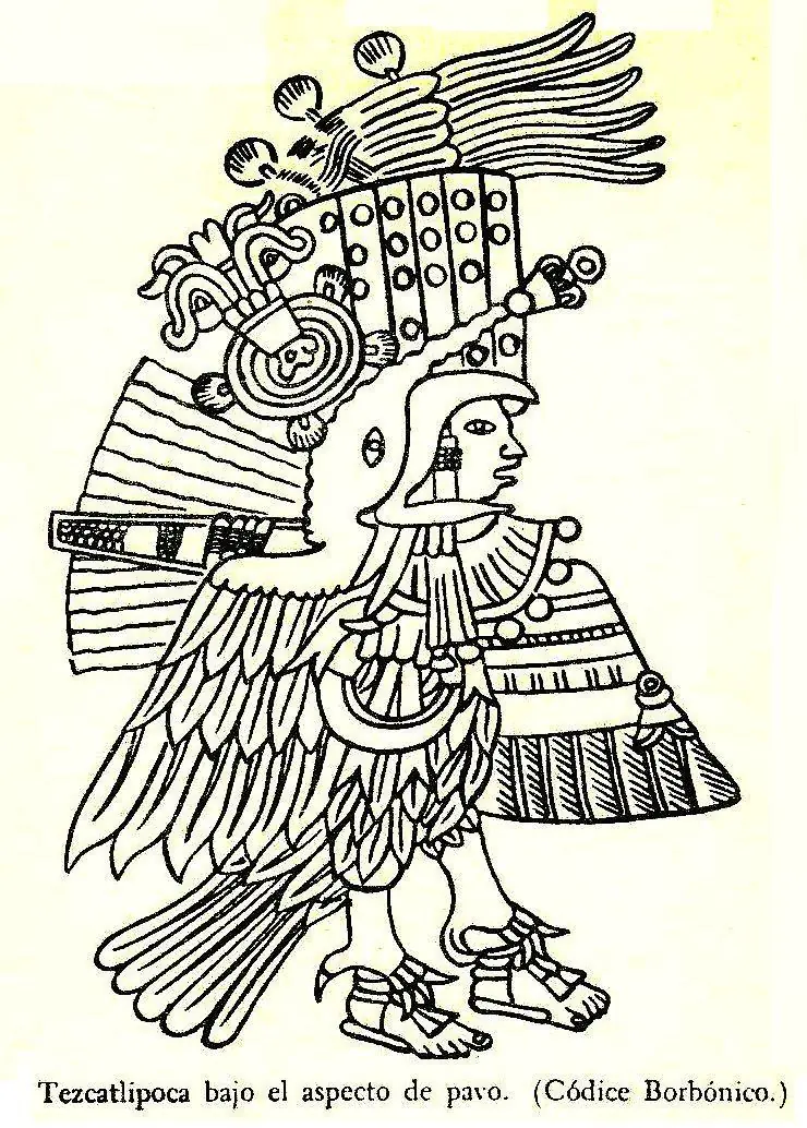 paul westheim