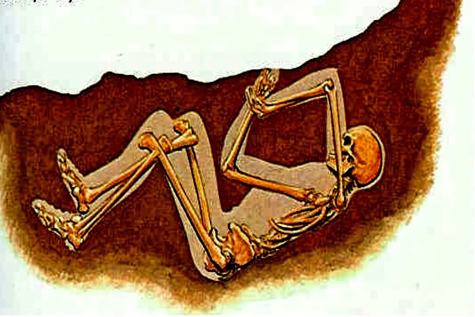 Vida y muerte en Pompeya y Herculano