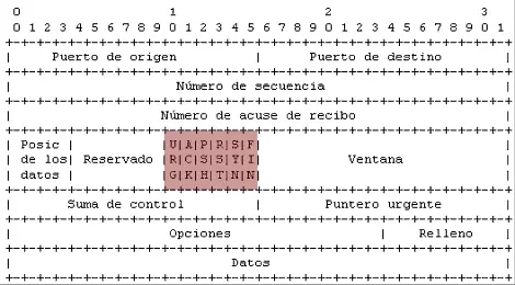 Descubrimiento y Sondeo Red Básico con Nmap