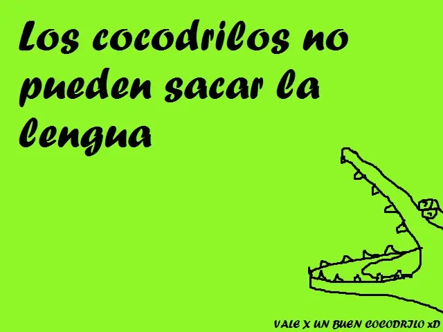 curiosidades
