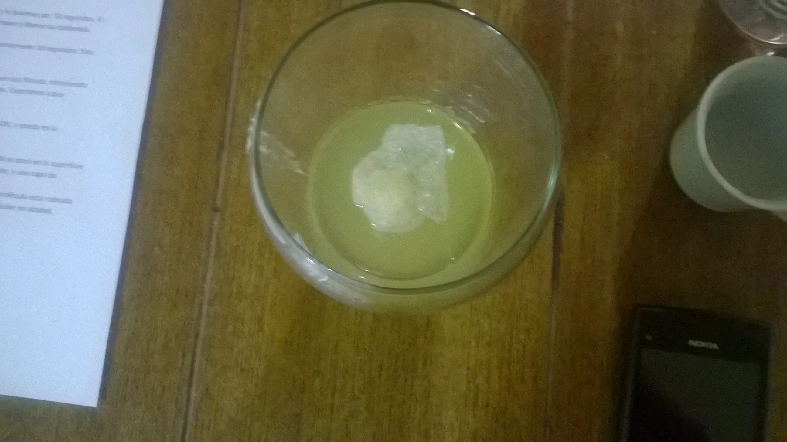 Extracción de ADN Casero