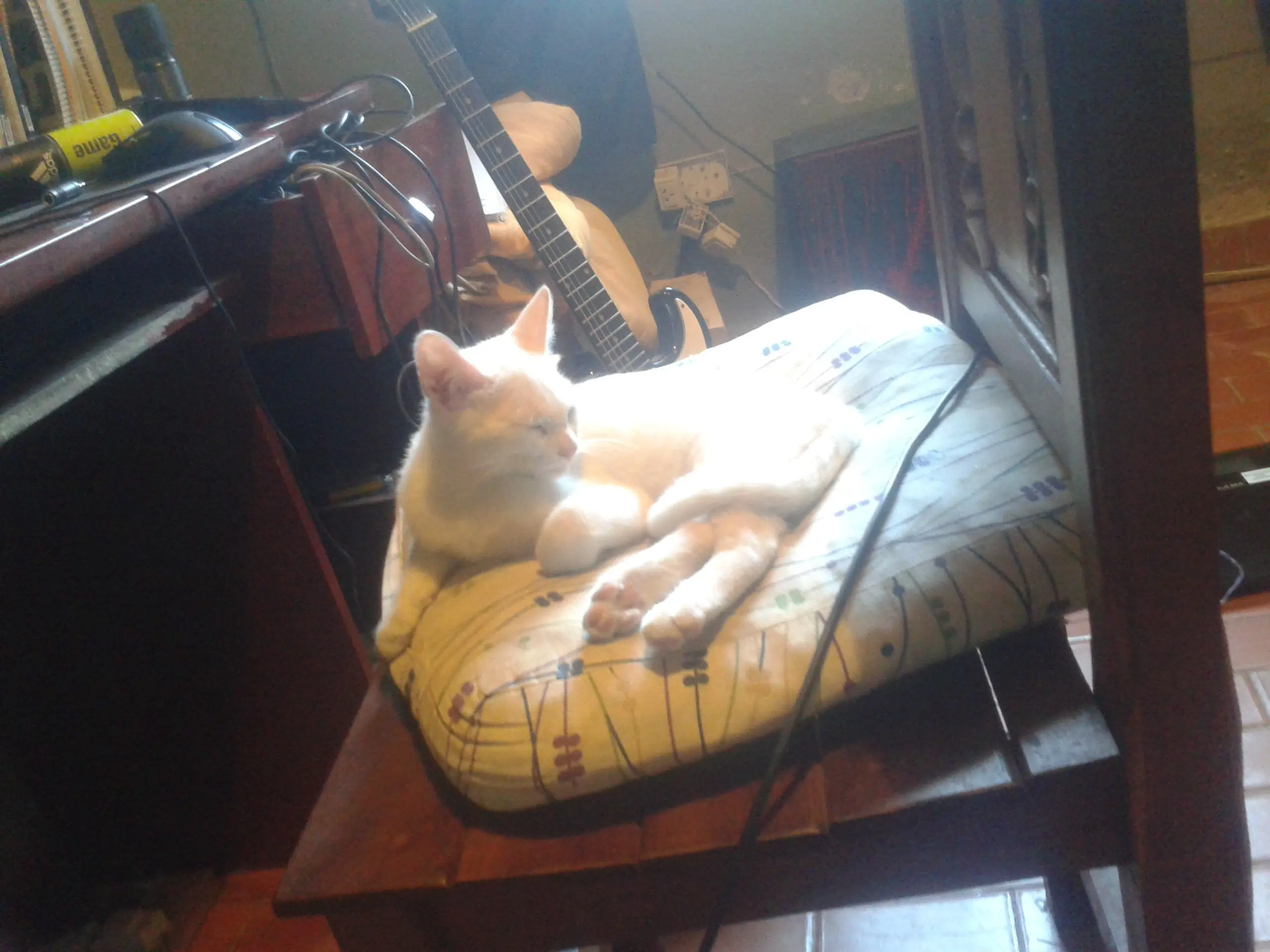 linces