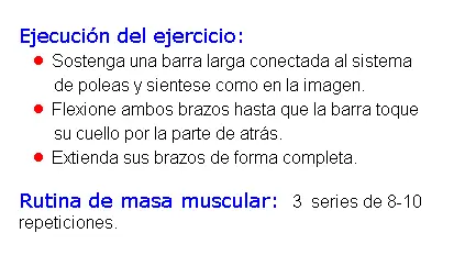 musculos