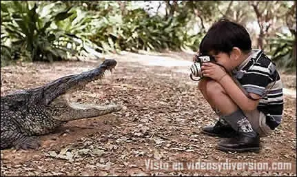 Fotos Divertidas ^^