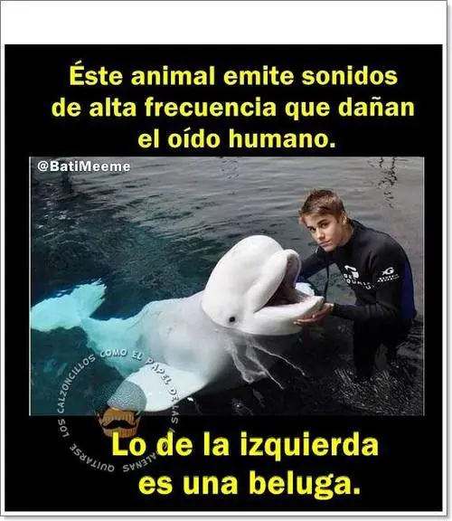 imagenes