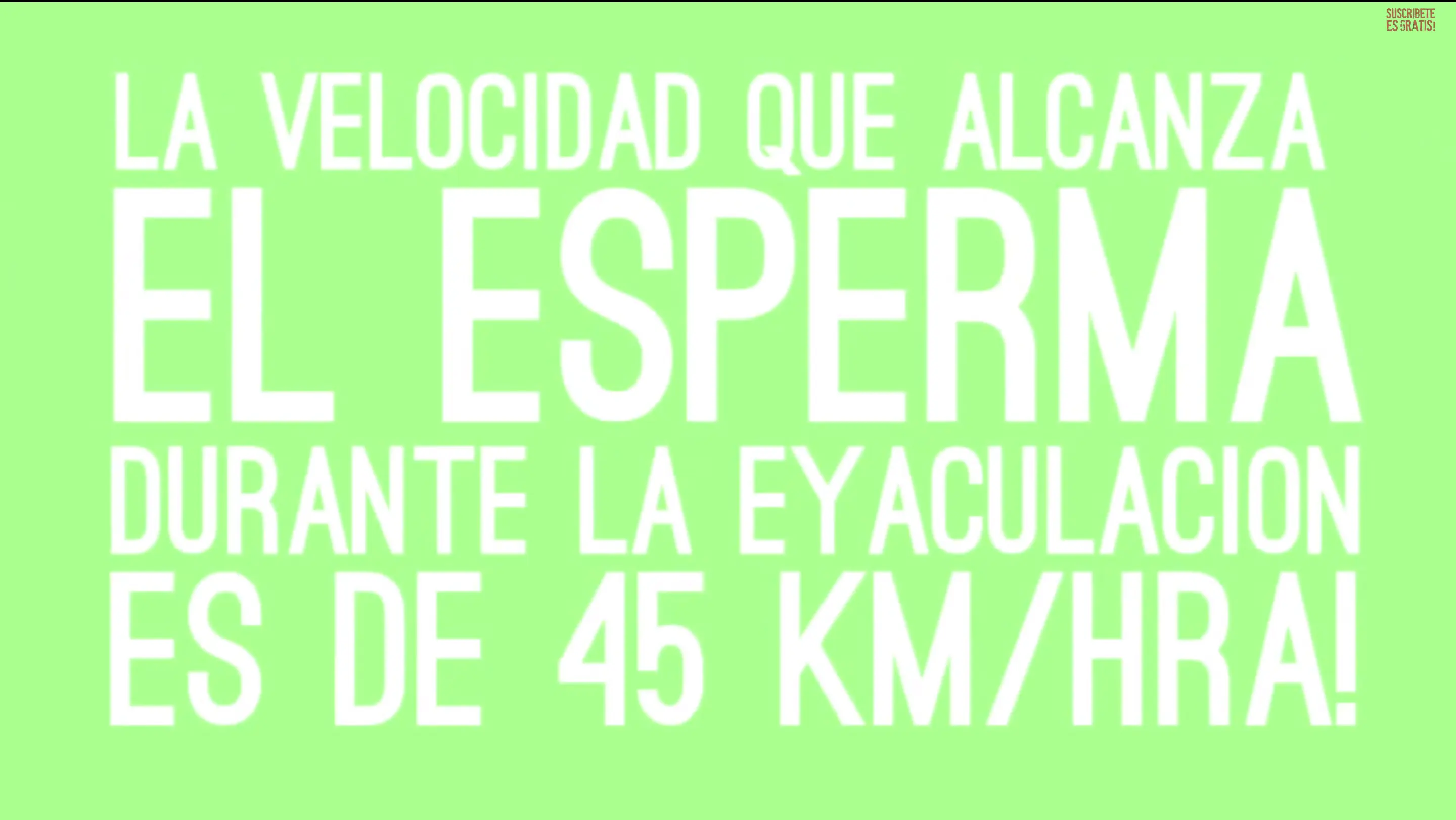 curiosidades