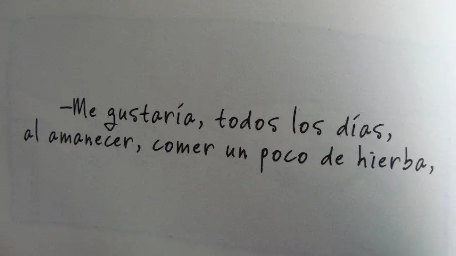 ¿Quieres saber qué es la felicidad? ¡Entra!