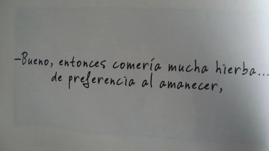 ¿Quieres saber qué es la felicidad? ¡Entra!