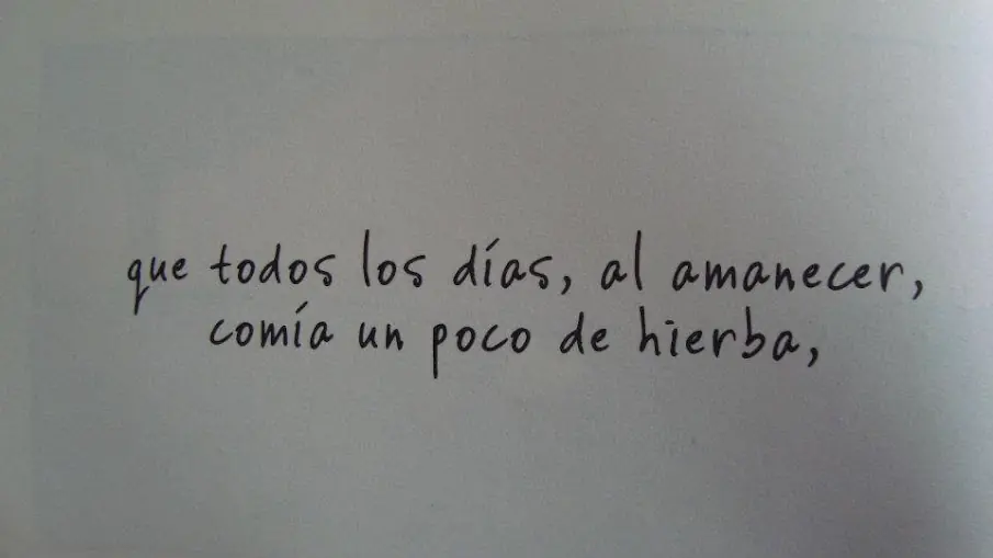 ¿Quieres saber qué es la felicidad? ¡Entra!