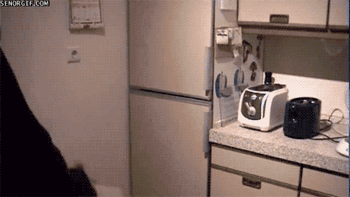 Vivir como  jefe [GIFs] si te gusta +5