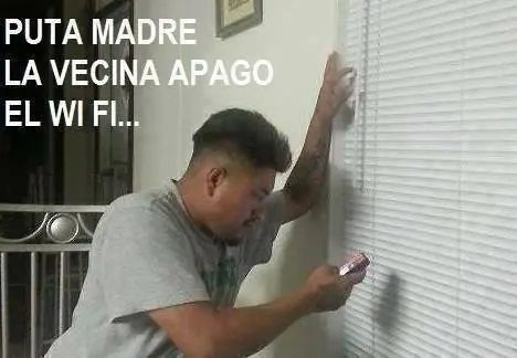 humor vitreo