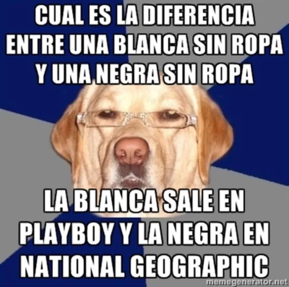 perro